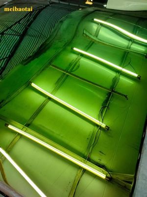 Harga yang bagus Green Mirror Color Sheet Pvd Coating Dekorasi Lempeng Baja Berkualitas on line