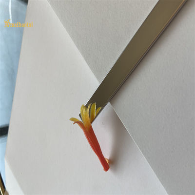 Harga yang bagus 304 Dekoratif Stainless Steel Tile Potong Cermin Warna 3048MM Selesai on line